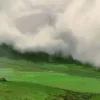🖼 Эмодзи «Miyadzaki manzaralari» для Telegram