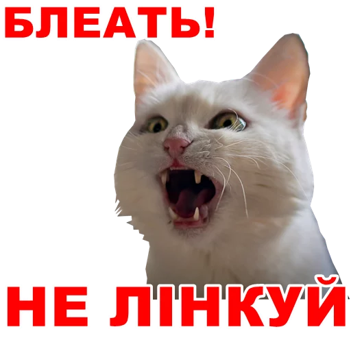 😾 Стикер «МіжФрак» для Telegram