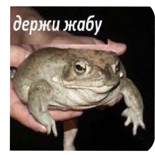 👄 Стикер «Будні екологів» для Telegram