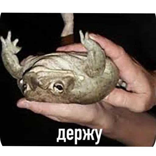 ✋ Стикер «Будні екологів» для Telegram