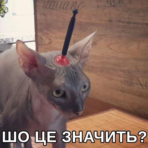 😒 Стикер «Будні екологів» для Telegram
