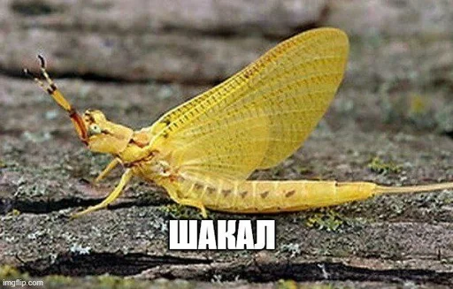 😖 Стикер «Будні екологів» для Telegram