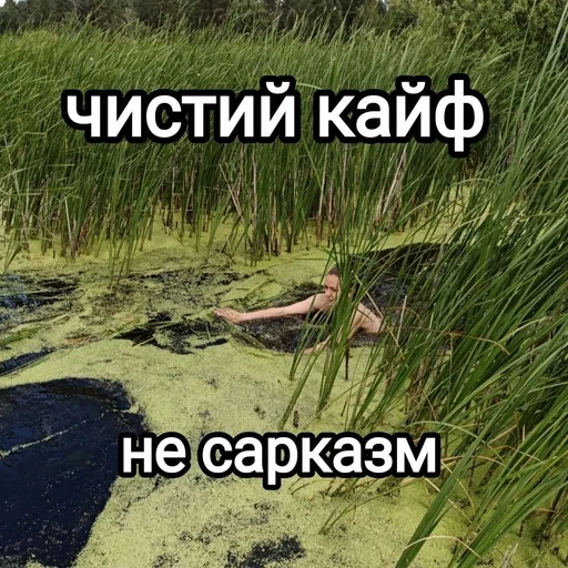 🌟 Стикер «Будні екологів» для Telegram