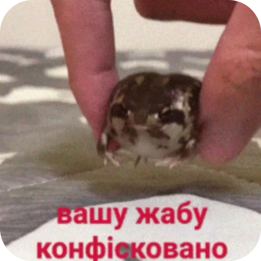 ✋ Стикер «Будні екологів» для Telegram