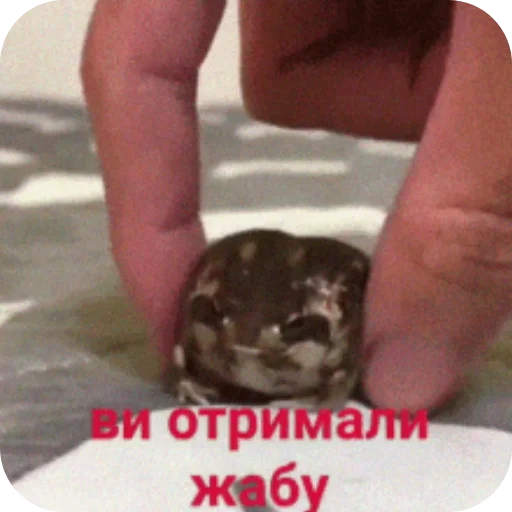 ✋ Стикер «Будні екологів» для Telegram