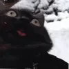 😄 Эмодзи «Cat memes» для Telegram
