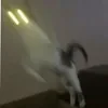 😄 Эмодзи «Cat memes» для Telegram
