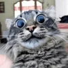 😄 Эмодзи «Cat memes» для Telegram