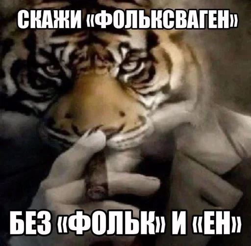 🌟 Стикер «mldr_user shit» для Telegram