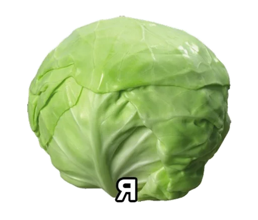 🥦 Стикер «Понемемы» для Telegram