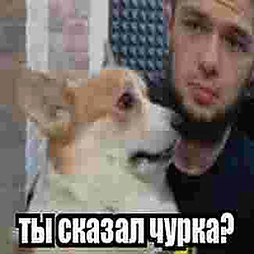 😳 Стикер «ММА чурка» для Telegram