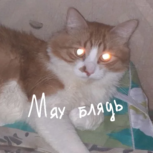 😠 Стикер «Ммм.. Татьяночка» для Telegram