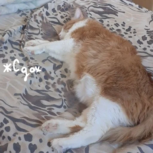 🙄 Стикер «Ммм.. Татьяночка» для Telegram