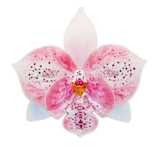 🌸 Стикер «Стикерпак» для Telegram