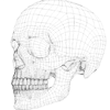Стикер 55 3D Modelling