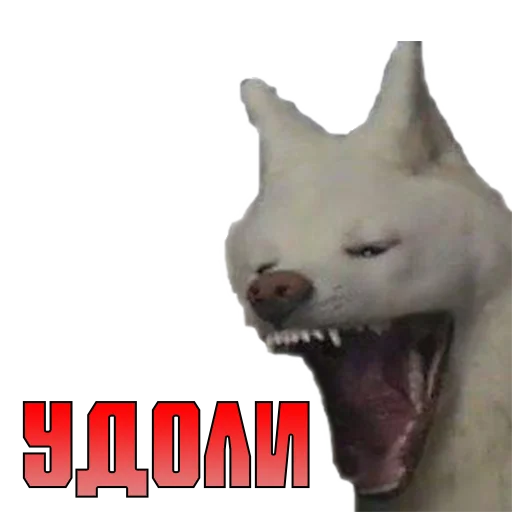 😡 Стикер «Modestal Pack» для Telegram