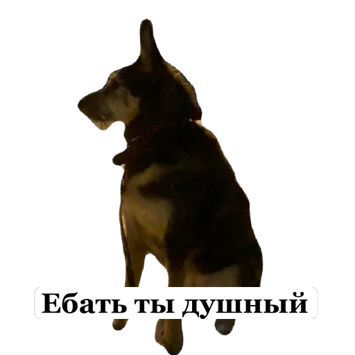 🫥 Стикер «Мое» для Telegram