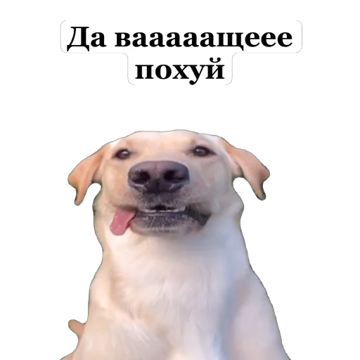 🫥 Стикер «Мое» для Telegram