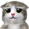 🐱 Эмодзи «Mofu Kitten» для Telegram