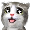 🤩 Эмодзи «Mofu Kitten» для Telegram