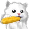 🌽 Эмодзи «Mofu Kitten» для Telegram
