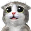 🐱 Эмодзи «Mofu Kitten» для Telegram