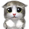 🥺 Эмодзи «Mofu Kitten» для Telegram