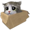 🥺 Эмодзи «Mofu Kitten» для Telegram