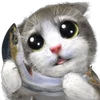 🐟 Эмодзи «Mofu Kitten» для Telegram
