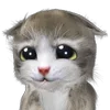 😟 Эмодзи «Mofu Kitten» для Telegram