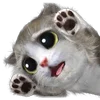 🐈 Эмодзи «Mofu Kitten» для Telegram