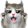😠 Эмодзи «Mofu Kitten» для Telegram
