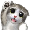 🐱 Эмодзи «Mofu Kitten» для Telegram