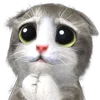 Стикерпак Mofu Kitten для Telegram