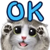 ⭕️ Эмодзи «Mofu Kitten» для Telegram