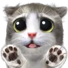 🐱 Эмодзи «Mofu Kitten» для Telegram