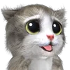 🐱 Эмодзи «Mofu Kitten» для Telegram