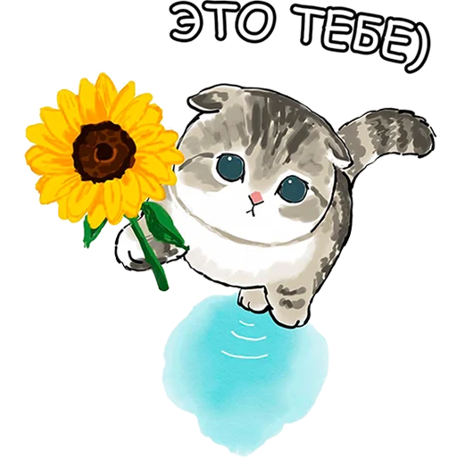 🤗 Стикер «Котики mofu_sand» для Telegram