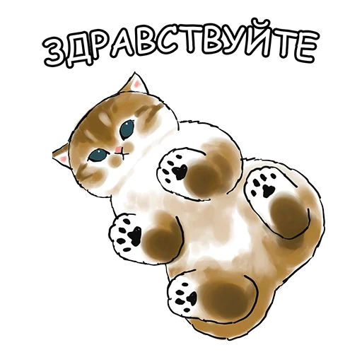 👋 Стикер «Котики mofu_sand» для Telegram