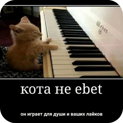 🎸 Стикер «Гарант 3%» для Telegram