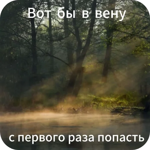 🥰 Стикер «Гарант 3%» для Telegram