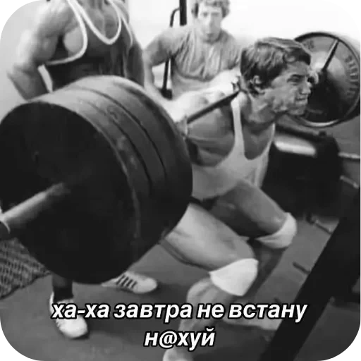 💪 Стикер «Гарант 3%» для Telegram