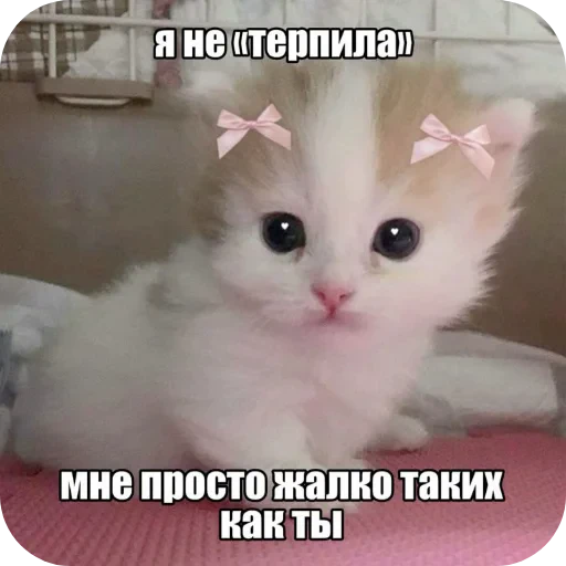🐱 Стикер «Гарант 3%» для Telegram