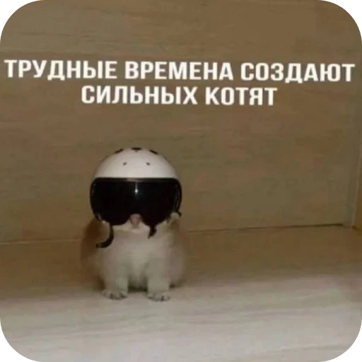 😻 Стикер «Гарант 3%» для Telegram