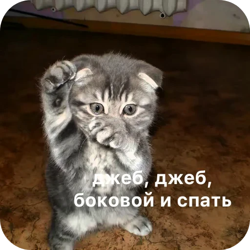 🔥 Стикер «Гарант 3%» для Telegram