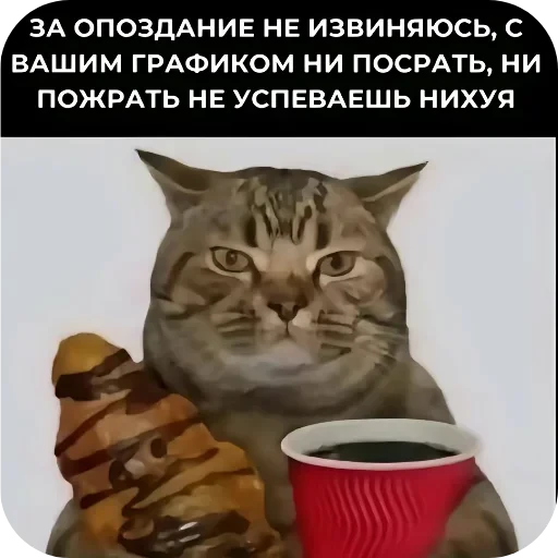 🐱 Стикер «Гарант 3%» для Telegram