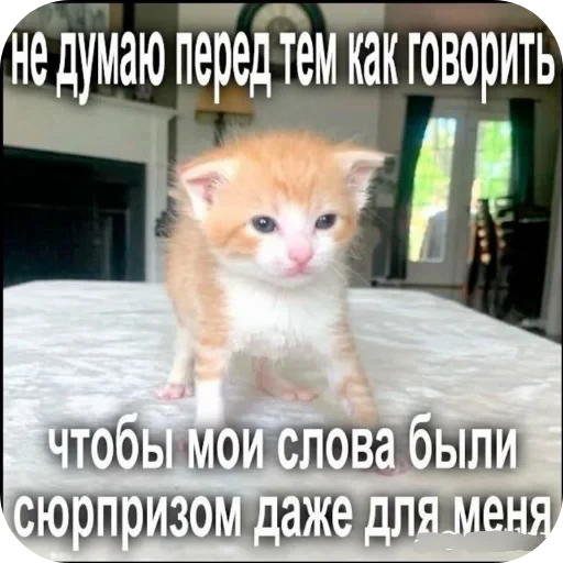 🔥 Стикер «Гарант 3%» для Telegram