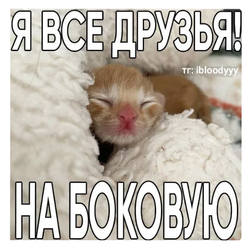 😴 Стикер «Гарант 3%» для Telegram