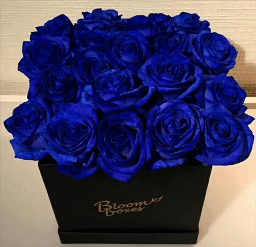 🌹 Стикер «Roses» для Telegram