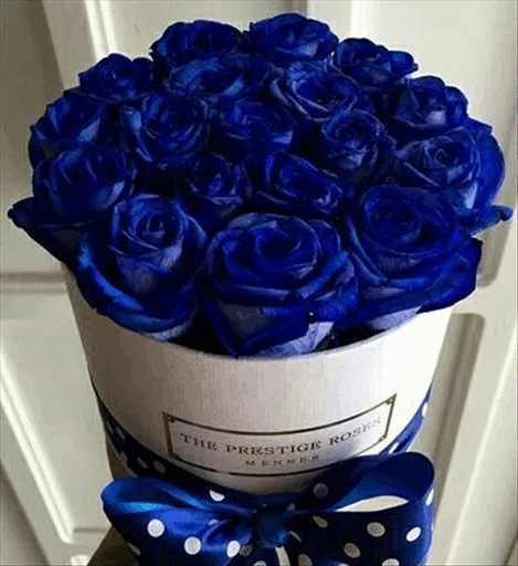 🌹 Стикер «Roses» для Telegram